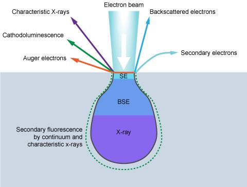 Electrons and their interactions with the