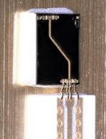 (CPW) on alumina and GaAs microchip.