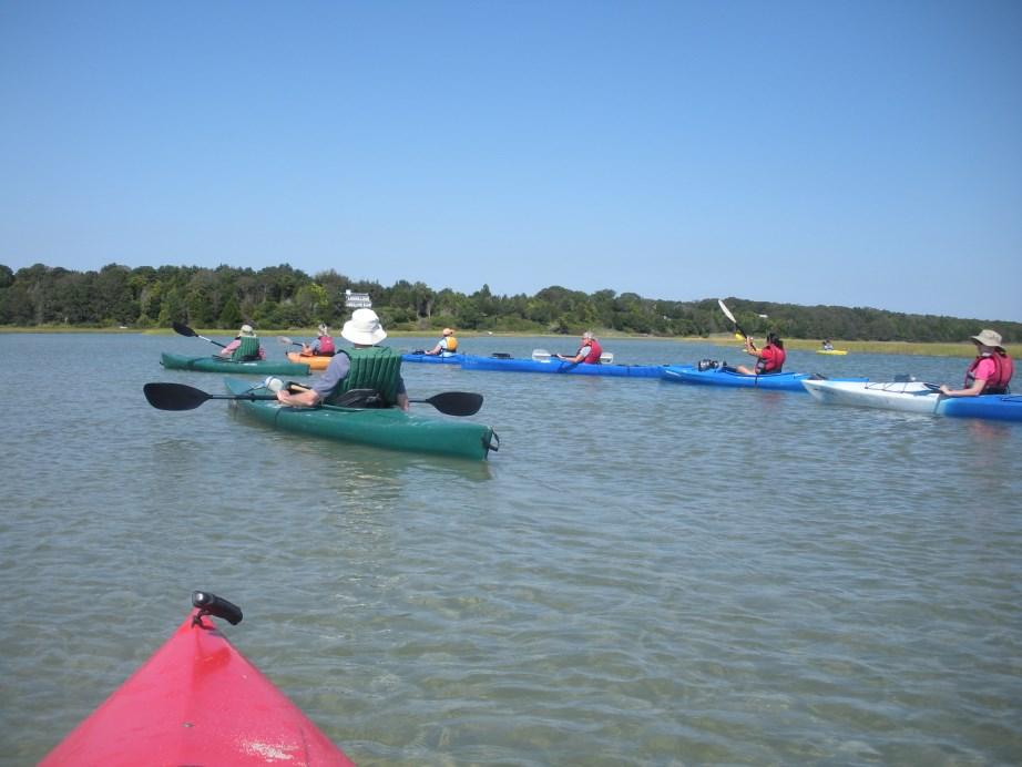 Natural History Day Camps in Wellfleet and Chatham At Summer Camps in South Wellfleet and Chatham, every day is an adventure!