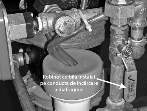 Dacă este instalat un accelerator uscat seria 746-LPA, confirmaţi că robinetul cu bilă de separare este închis. 1. Deschideţi robinetul de golire principal al sistemului.