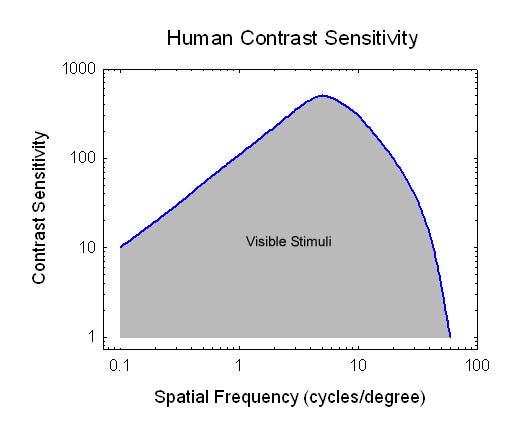 Human spatial sensitivity (horizontal axis not comparable to image on