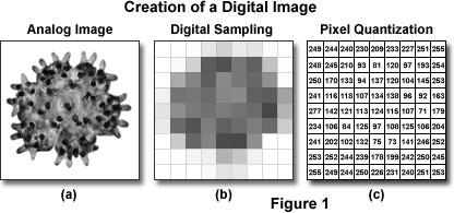 Sampling versus quantization an image is a function typically f ( x)
