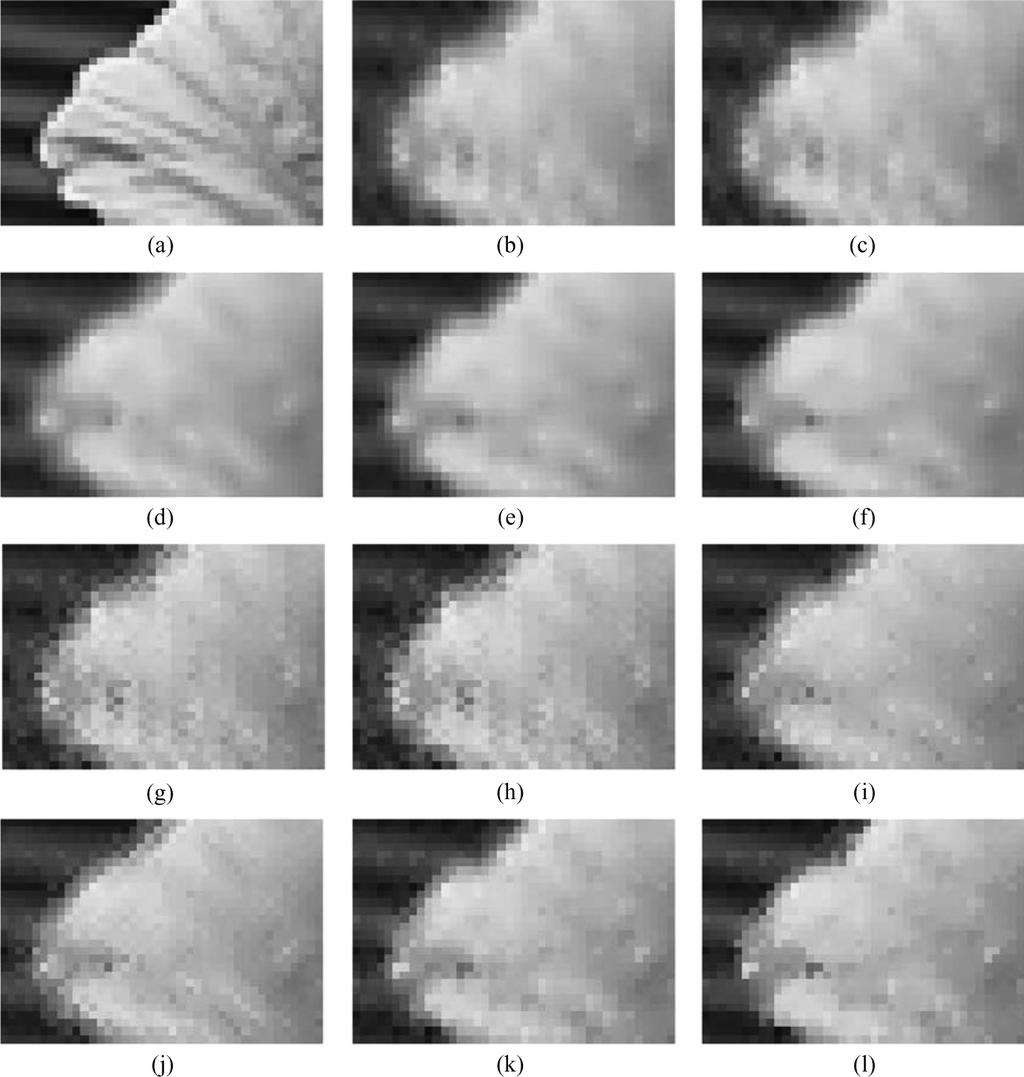 LUKAC et al.: COLOR IMAGE ZOOMING ON THE BAYER PATTERN 1489 Fig. 17. Enlarged parts of the results corresponding to Fig. 13(h). (a) Original image. (b) BI demosaicking + BICZ zooming.