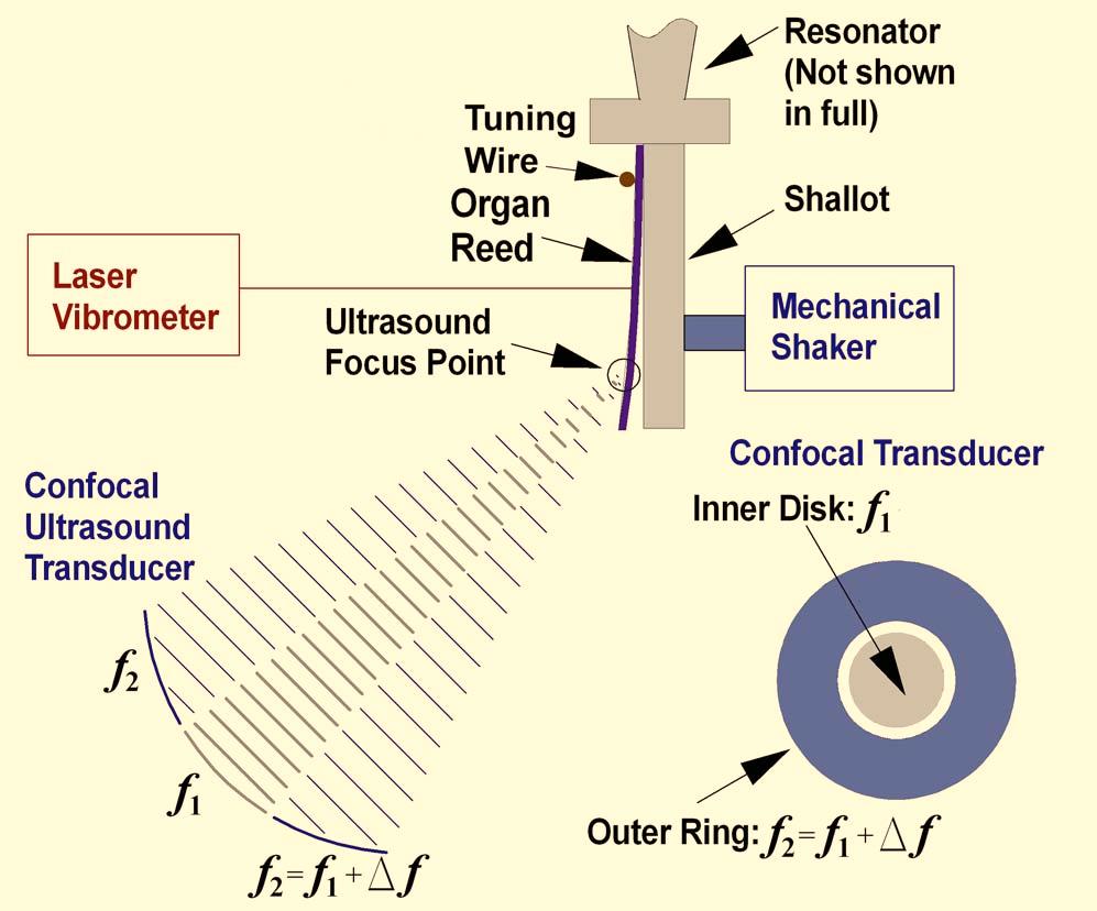 FIG. 1. Color online Apparatus used to compare ultrasound stimulated excitation with other excitation methods.