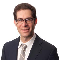 Overview David N. Goldman has advised management in all areas of employment and labor law for more than 15 years.