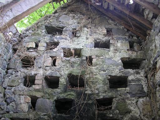 Plate 11: Old pigeon holes in a dovecote s