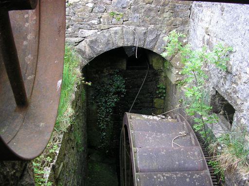 Plate 19: Culverts and tunnels are used by bats