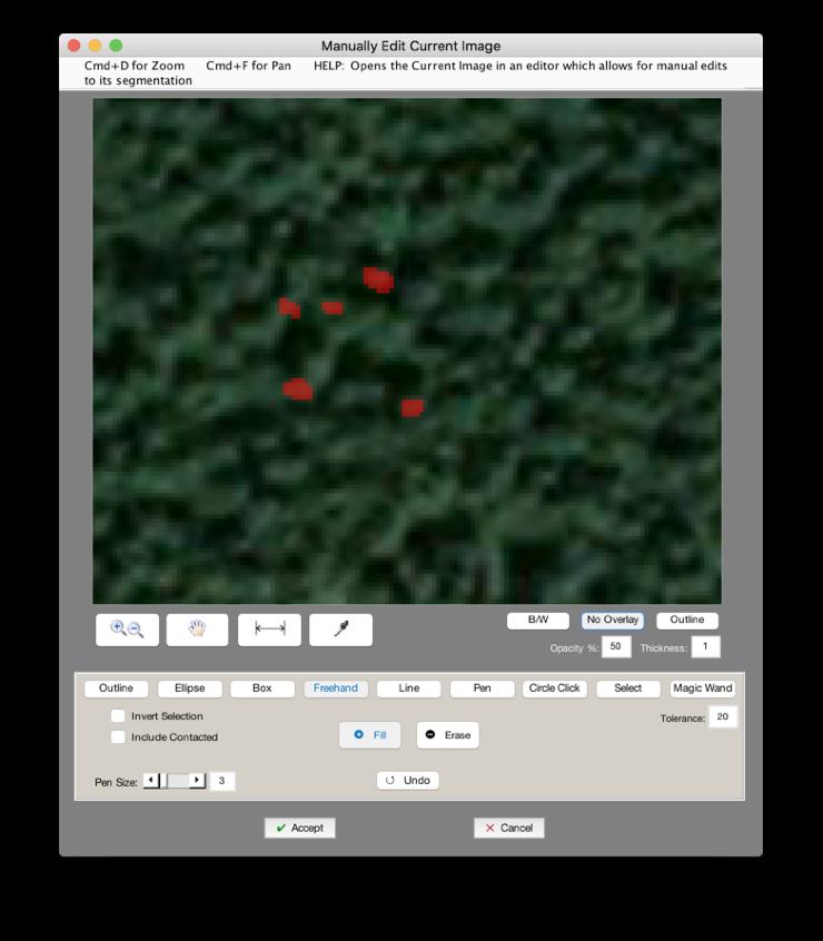 Manual Edit Set as Memory Image + Find Tree Patches Measurements > Estimate Count