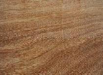 Cumaru is tannish to deep brown in colour with very distinctive and exotic detail. It is very durable and strong.