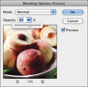 We double- clicked the Blending Options icon for the Fresco filter on the Layers C Check Preview and, if desired, lower the zoom level.