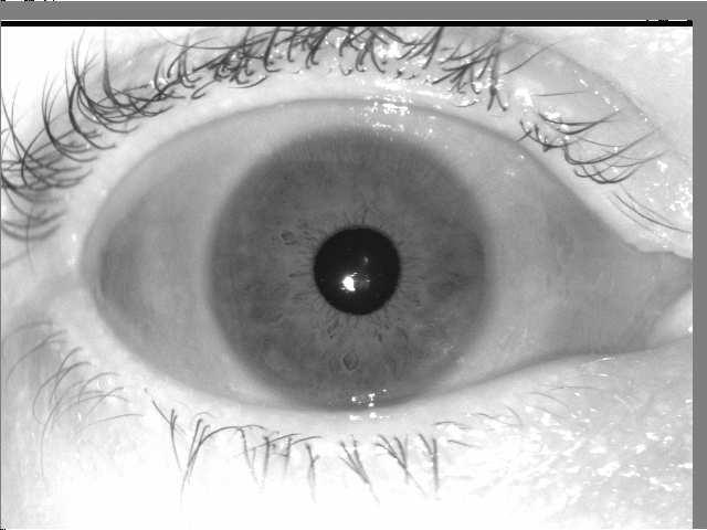 These images were captured using an LG4000 iris camera. (Figure reprinted from Hollingsworth et al. [1] c 2009 IEEE.