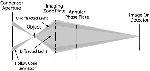 Phase contrast imaging utilizes the refraction of X-rays rather than absorption.