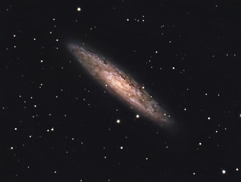 NGC 253 - Contributed by Hunter Wilson NGC 253, although it appears in William Herschel's catalog, was actually discovered on September