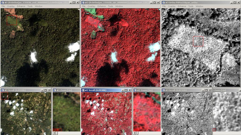 Spectral info of a coca field UNODC