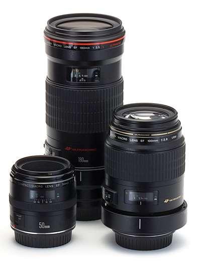 Lenses in Macro Photography Regular macro lenses Long lens barrel design (to extend the di) Macro lenses range from 50mm to 180mm Longer focal lengths allow greater working distance, are often more