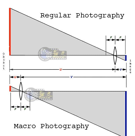 The Optics Two factors affect magnification: focal length and subject distance M= hi / ho = di / do the shorter do or longer