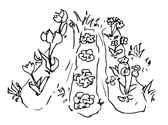 în care dintre ele sunt ilustrate plante
