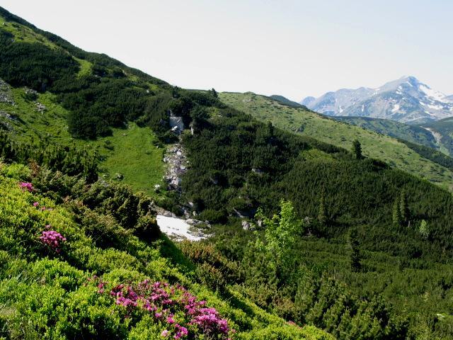 Munții Făgăraș, Oltul Mijlociu-Cibin-Hârtibaciu, Pădurea de stejar pufos de la Petiș, Pădurile de stejar pufos de pe Târnava Mare, Podișul Secașelor, Sighișoara-Târnava Mare) și 4 SPA-uri