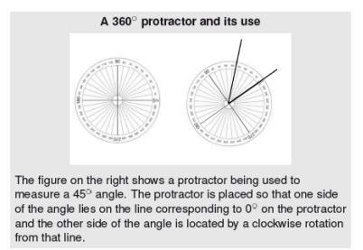 They transfer their understanding that a 360º rotation about a point makes a complete circle to recognize and sketch angles that measure approximately 90º and 180º.