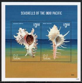 50 Seashells of the Indo-Pacific