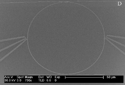 3nm A hybrid EO polymer/silicon slot waveguide MRR modulator was recently demonstrated [6] 1μm ring diameter 2V