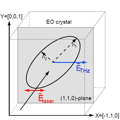Bunch length detection principle linear electro-optic effect: induced birefringence by the THz