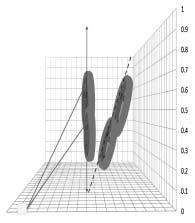 movement in the roll plane is: Angle on left = 180-(actual head movt + Eccentricity of camera) Angle on right = Eccentricity of camera Actual head movt A diagrammatic representation of movements of