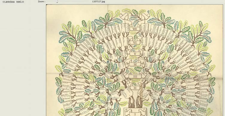 Trees and coats-of-arms and indexed by family name. Click on a document to consult it. The second tool in this section allows you to search through indexed marriages in the family genealogies.