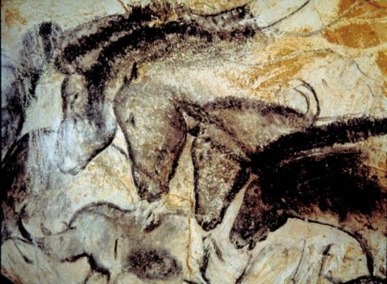 Chauvet Cave, France Drawings, paintings and engravings (scratching surface) Yellows (ochre)black (charcoal) and red(iron oxides) Chambers included only one color.