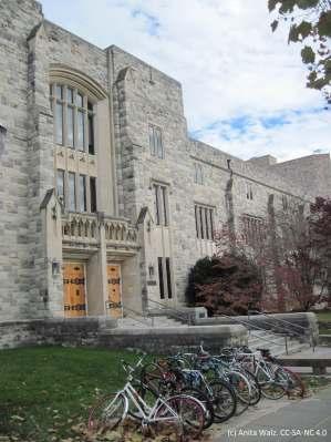 The Context Virginia Tech ~ 3,700+ faculty 29,000 students on campus + some off campus Residential