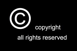 The importance of Copyrightand the freedom of open licensing "Copyright-all rights reserved" by MikeBlogs-http://www.flickr.com/photos/mikeblogs/3020966268/sizes/o/in/photostream/.