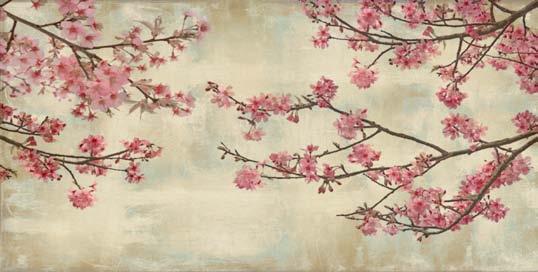 Cherry Blossoms IS465DG 0.
