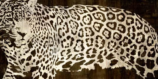 Leopards Darren Davison