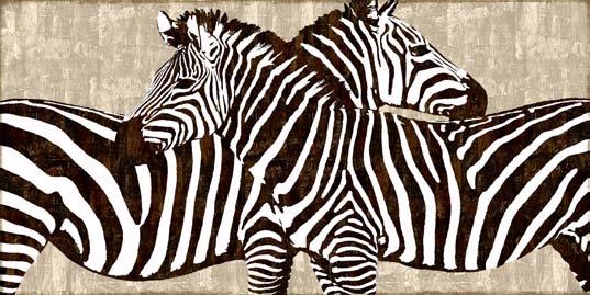 Zebras  Zebra