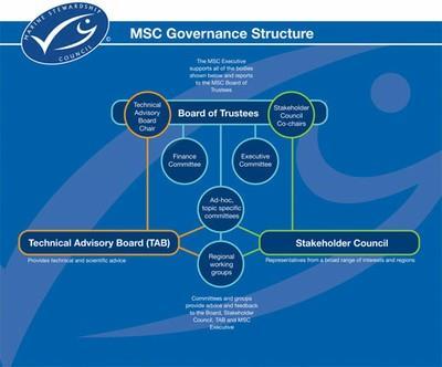 In addition to our three governance bodies, committees and working groups are set up to address specific regional or topical issues.