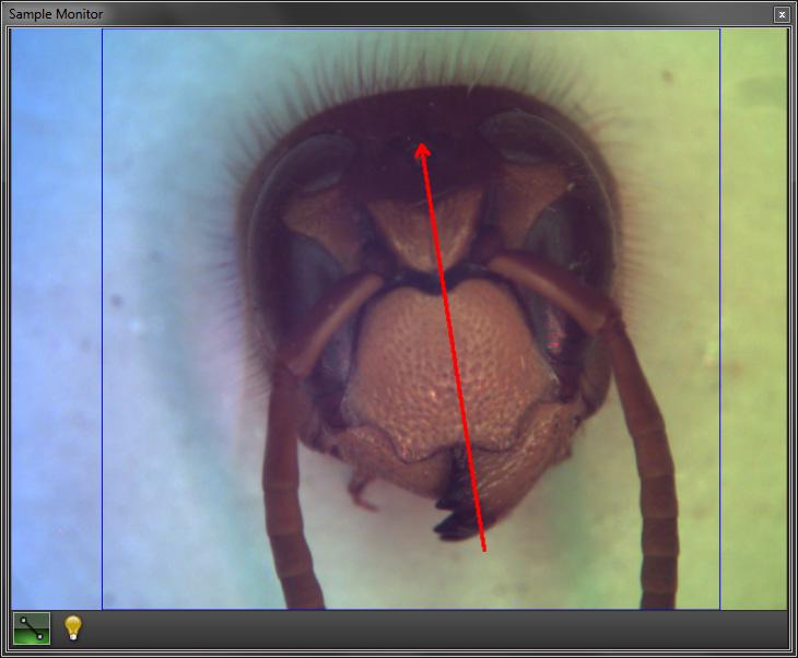 Rendering View with Controls Shown Enlarged to the Right u Draw and Scan Feature Enables User- Defined Scan Patterns Drawn Directly on Live Video Image u Various Processing and Averaging
