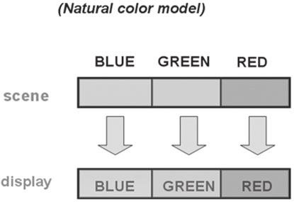 When some students first encounter this concept, it often seems nonsensical to represent an object using any color other than its natural color.