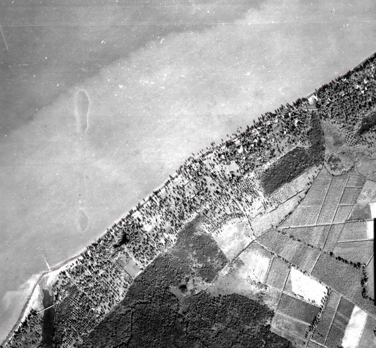 Image 5: 1930 aerial photo from El Maní. The coastline is traced in red.