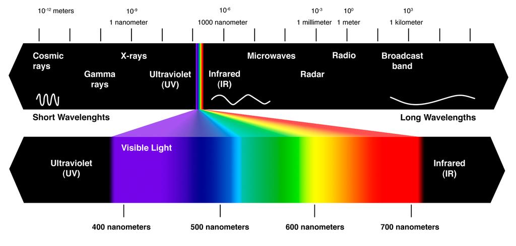 Module 18 The Wavelengths we see What we see as light is only a tiny slice of a wide spectrum of electromagnetic energy, which ranges from gamma rays as short as the diameter