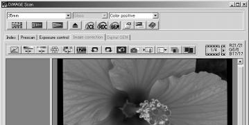 BASIC IMAGE PROCESSING Main window and image-correction tab The image-correction tab displays the utility s image-processing tools.