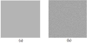 coefficients are multiplied by negative one to remove the noise. Fig. 6: (a Plain image; (b appears shade gray because of dithering. The dither image is used to remove anti-forensic noise.