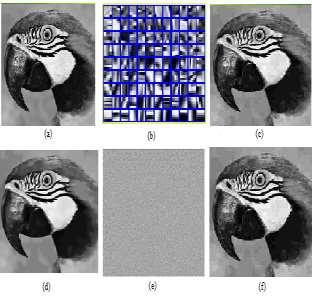Fig. 12: (a Original image; Image obtained through (b Dic method; (c compressed at q=10; (d Dic-TV method; (e dithered plain image appears gray; (f Anti-Forensic Noise removal method.