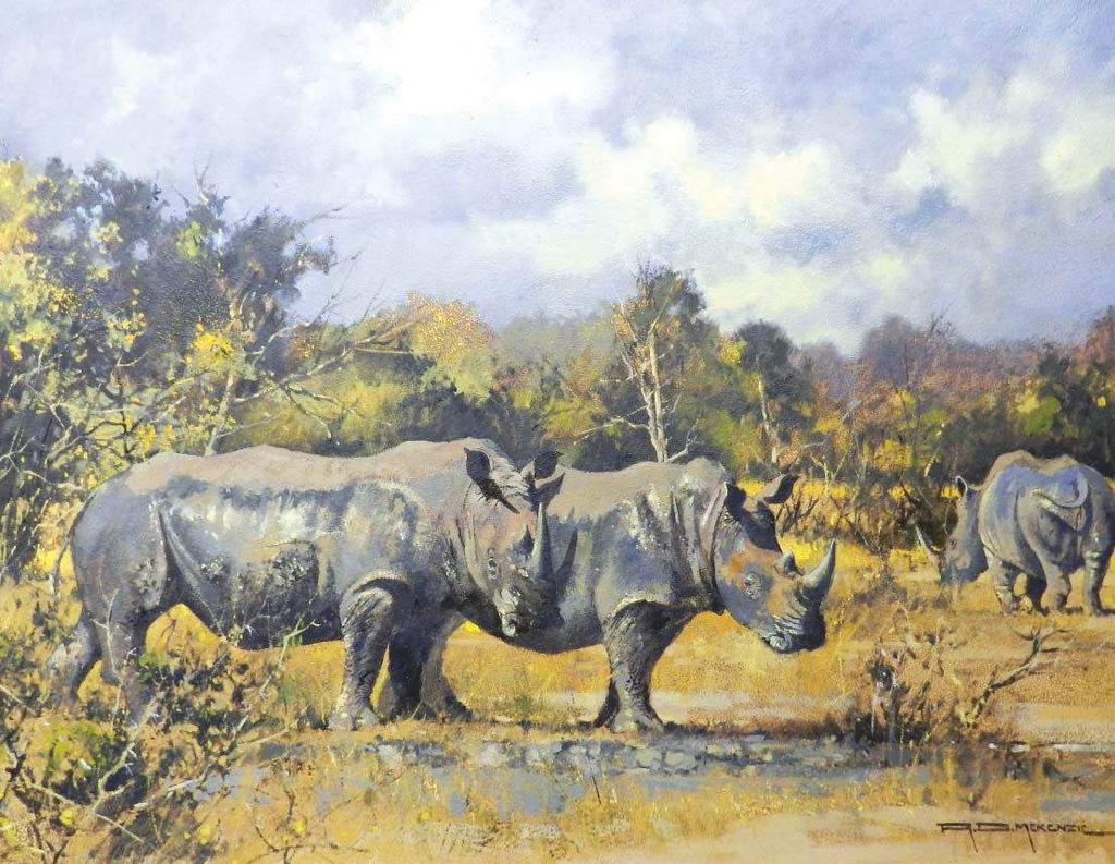 privileged TO PAINT Eastern Cape artist, BOB MCKENZIE, who has been painting for over fifty years, says Having painted in oils since the age of 13, the journey has been one with many twists and
