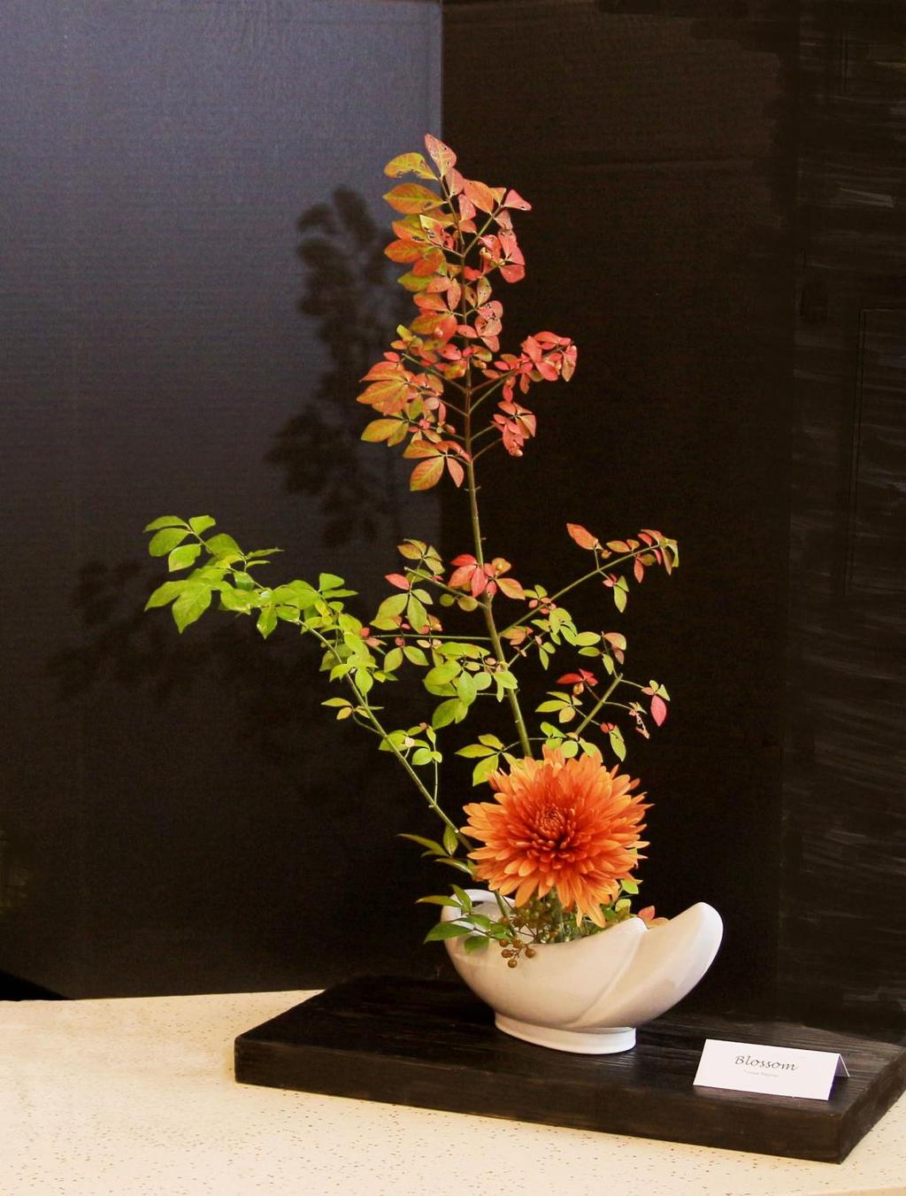 Blossom By Trina Bayne Materials: Mum and