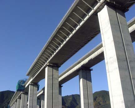 PRECAST SEGMENTAL BRIDGE Recent Applications in Japan