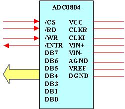 ADC 0804 poate fi conectat cu uşurinţa la sisteme microprogramate realizate cu microprocesoare sau controlere.