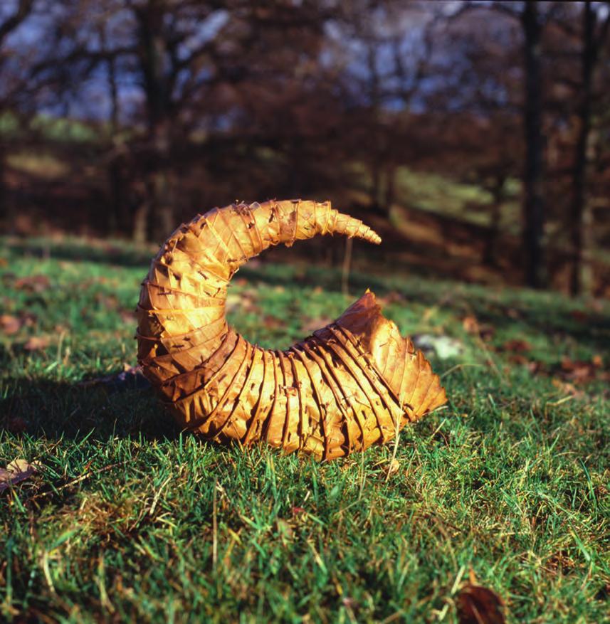SECTION 1 ART STUDIES (continued) Leaf Horn (1986) by Andy Goldsworthy horsechestnut leaves and thorns 4.