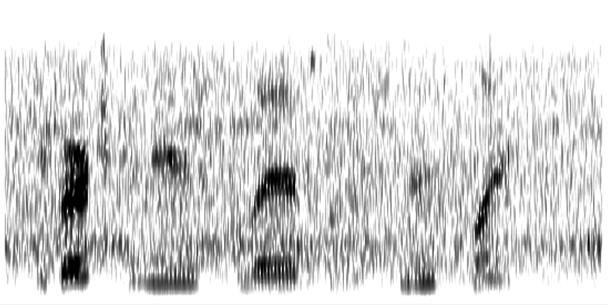 In the time-frequency domain, speech is composed of a set of time-frequency components or atoms. Most atoms with small amplitudes are masked in the presence of noise.
