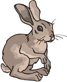 Rabbit Graphics used: