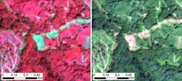 Reflectanța reflectanțe specifice unor păduri de diferite ridicată în infraroșu (pixelii roz) este specifică vârste sau vegetației de la nivelul solului și solului vegetației de la nivelul solului,